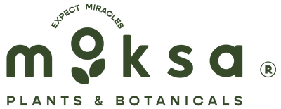 Moksa Expect Miracles