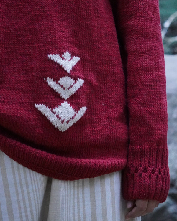Women Turtle Neck Sweater